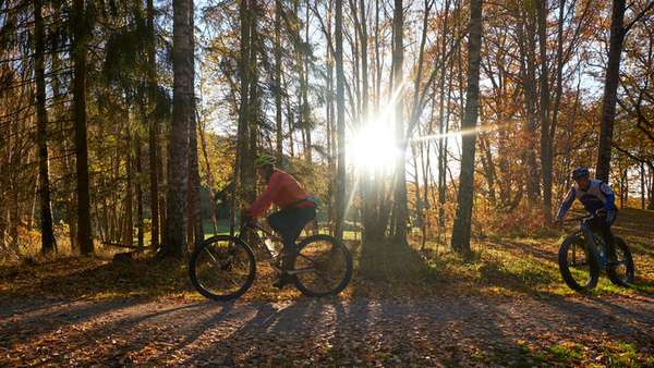 Två personer cyklar i skog i solljus