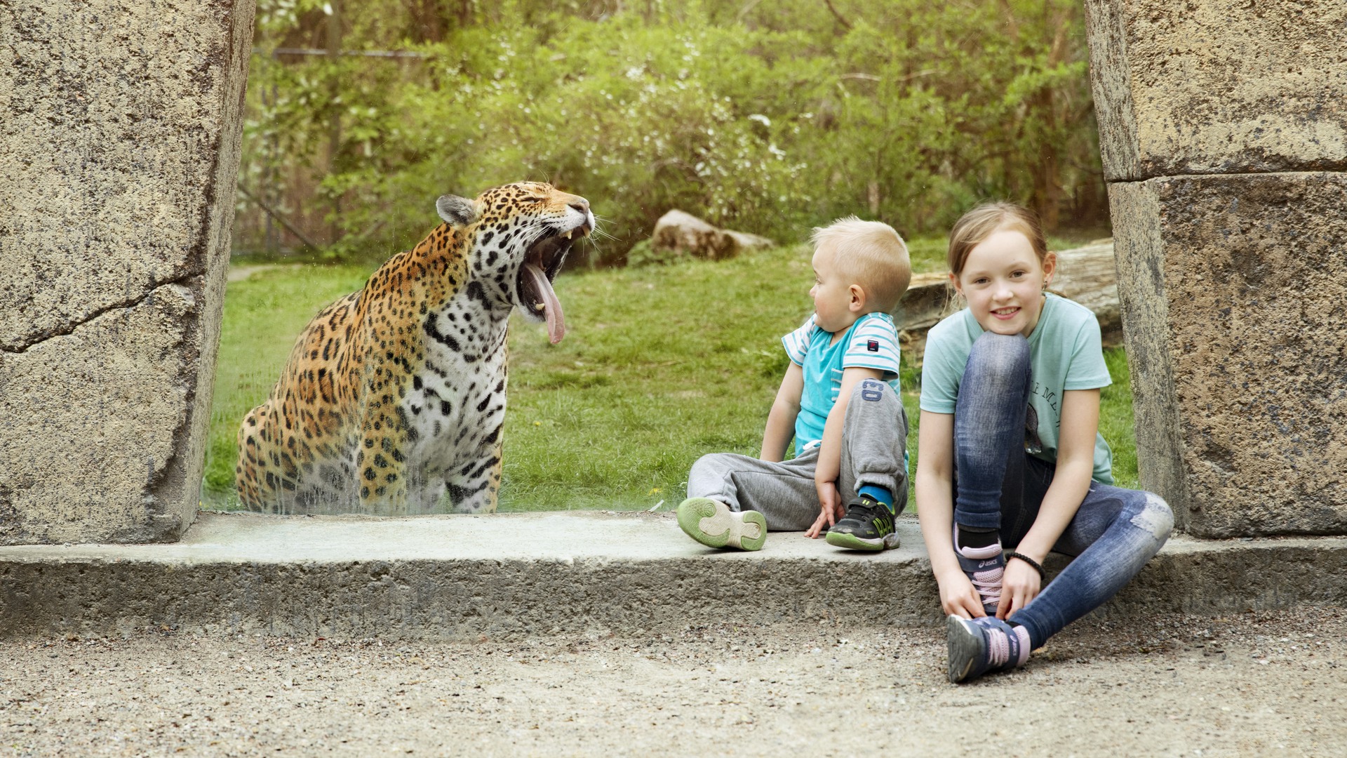 A roaring lepard, and two kids